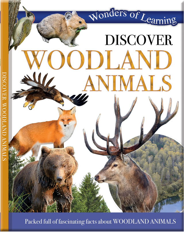 WOODLAND ANIMALS - Retail Maharaj