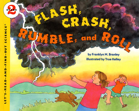 Flash, Crash, Rumble, and Roll - Retail Maharaj