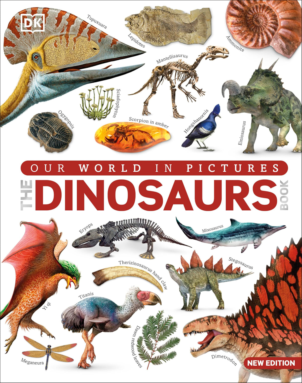 The Dinosaur Book: Our World in Pictures - Retail Maharaj
