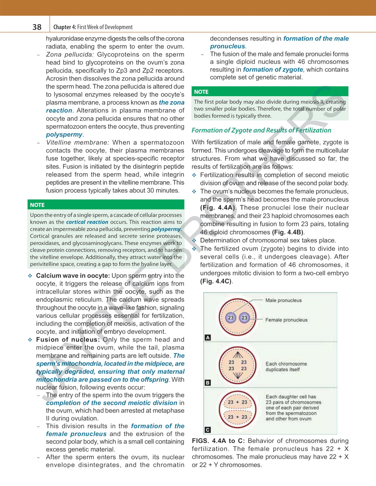 INDERBIR SINGH'S HUMAN EMBRYOLOGY - Retail Maharaj