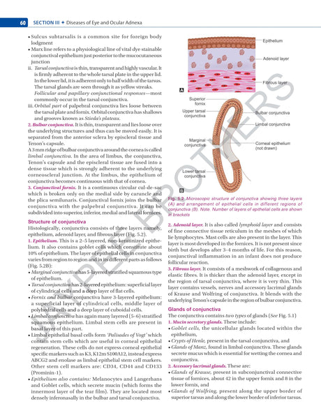 COMPREHENSIVE OPHTHALMOLOGY (INCLUDING PRACTICAL MANUAL) WITH OPHTHALMOLOGY LOGBOOK - Retail Maharaj