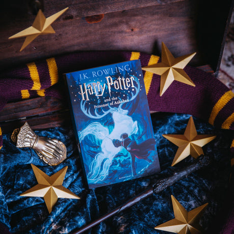 Harry Potter and the Prisoner of Azkaban - Retail Maharaj