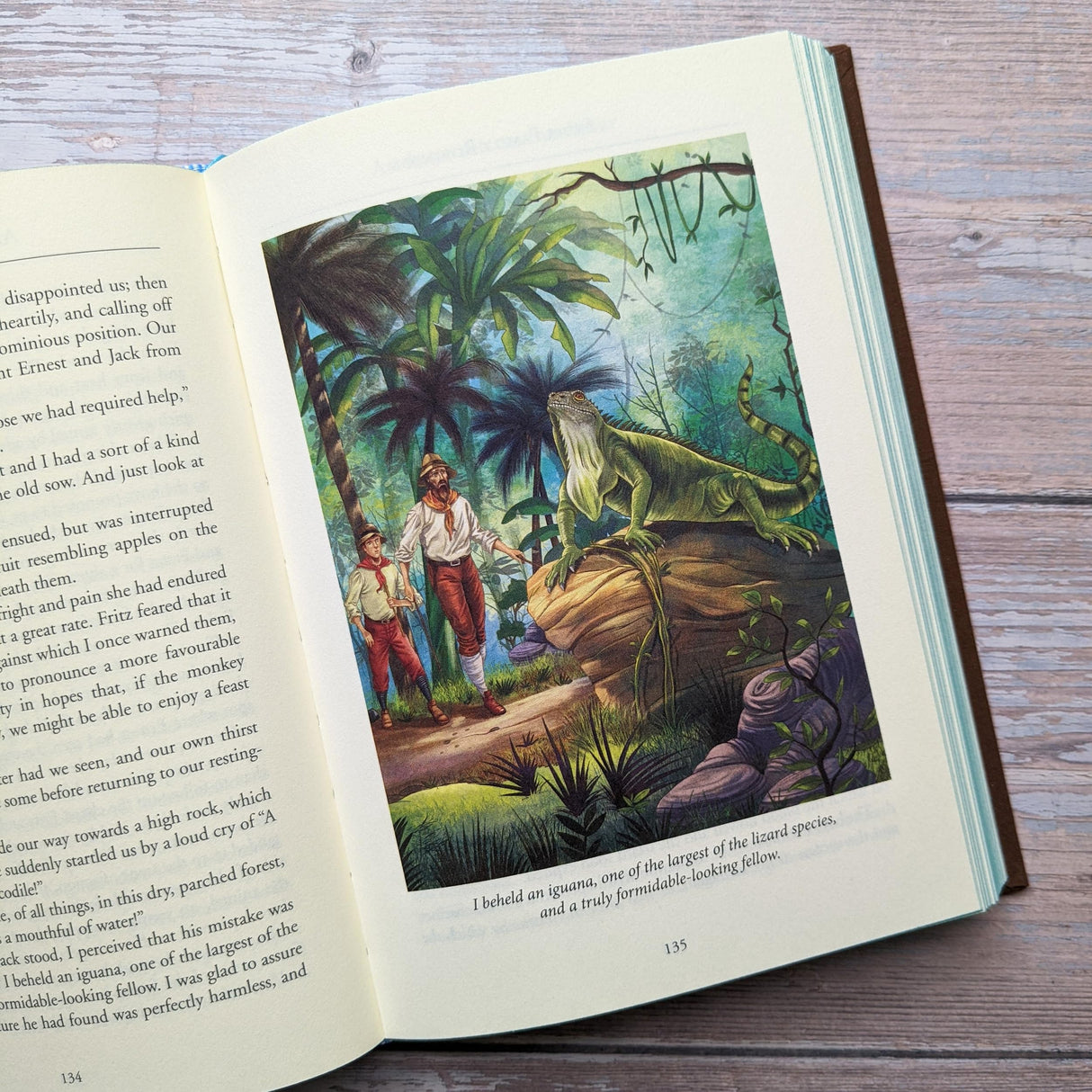 The Swiss Family Robinson (Bath Treasury of Children's Classics) - Retail Maharaj