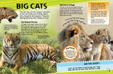 ANIMAL ENCYCLOPEDIA - Retail Maharaj