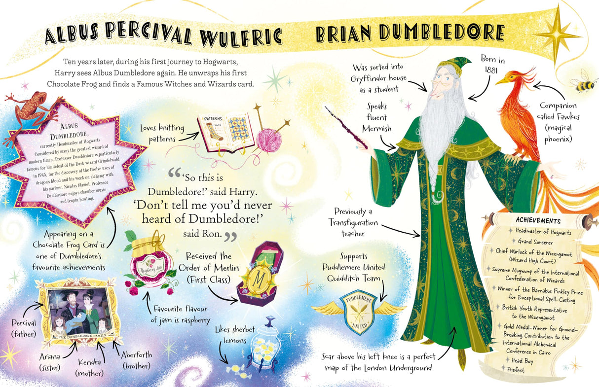 Professor Dumbledore (Pocket Potters – Little Guides to the HARRY POTTER Stories) - Retail Maharaj