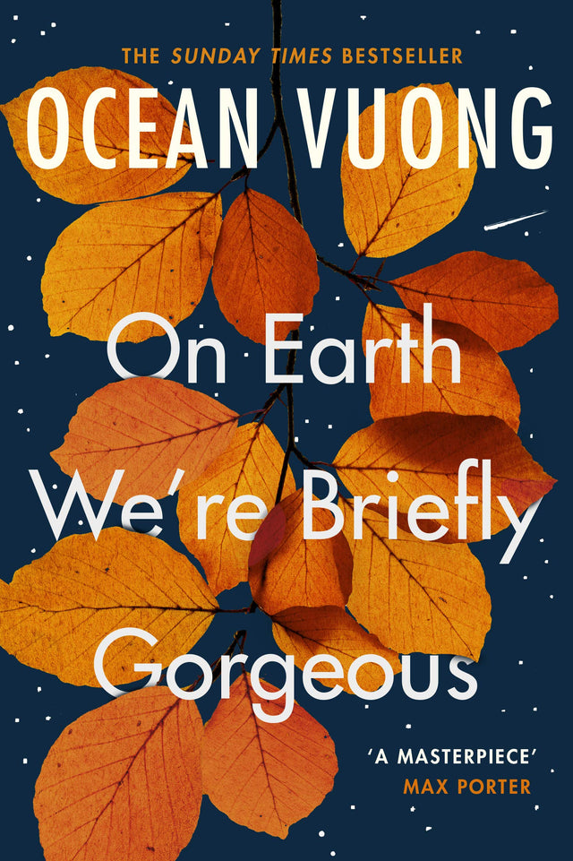 On Earth We're Briefly Gorgeous - Retail Maharaj