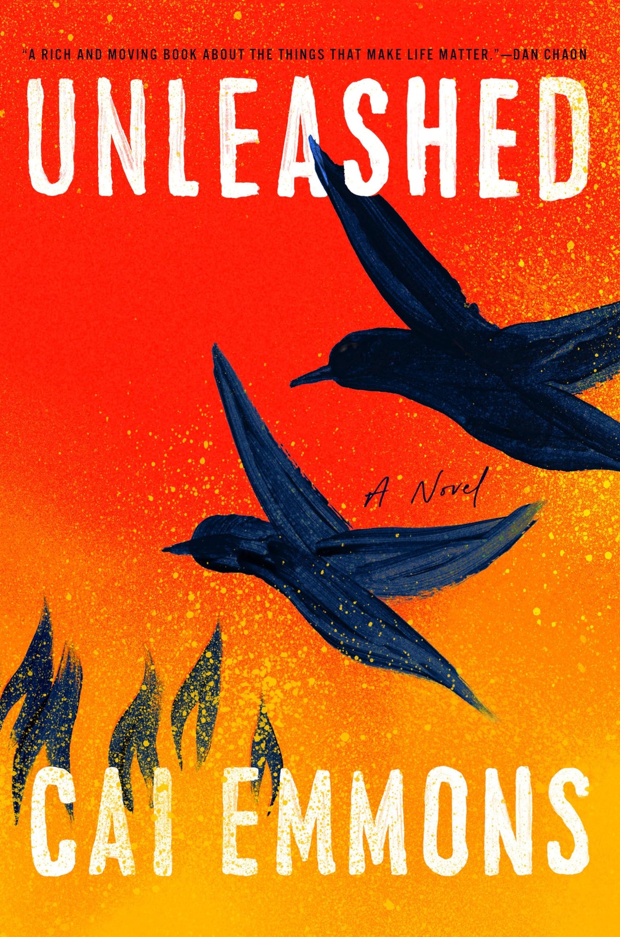 Unleashed: A Novel - Retail Maharaj