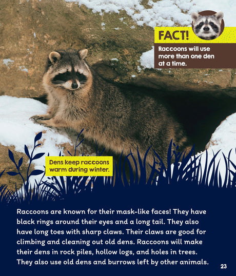 Learn About: Animal Homes: Dens - Retail Maharaj