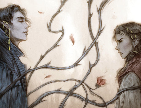 How the King of Elfhame Learned to Hate Stories (The Folk of the Air series): a stunning full colour edition set in the faerie world of Elfhame - Retail Maharaj