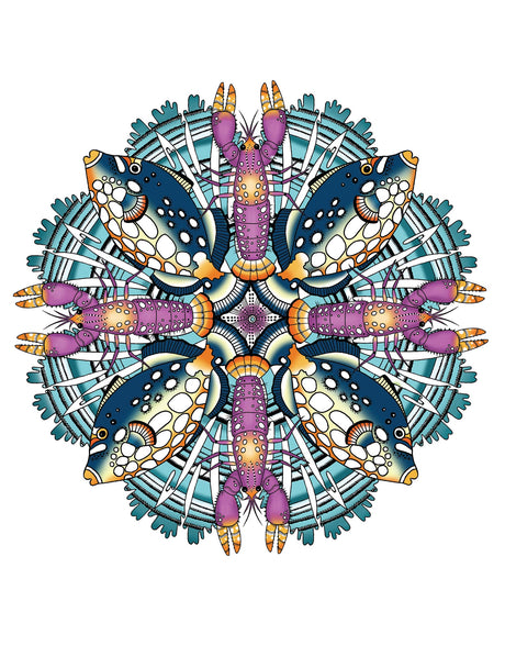 Creative Haven Stunning Sea Life Mandalas Coloring Book - Retail Maharaj