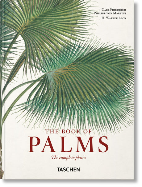 Martius. The Book of Palms. 40th Ed.: Graphic Design & New Typography 1919-1933 - Retail Maharaj