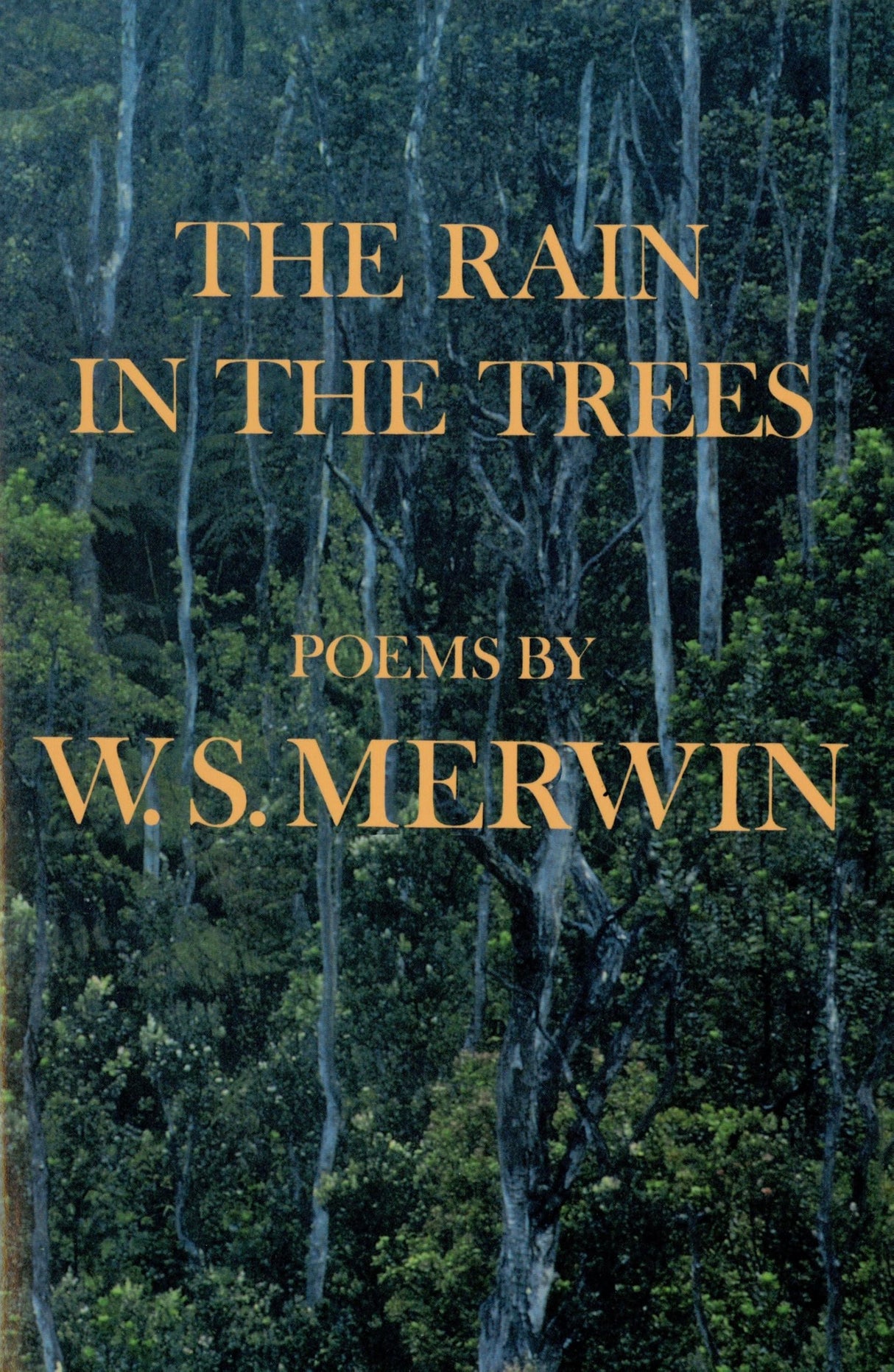 The Rain in the Trees - Retail Maharaj