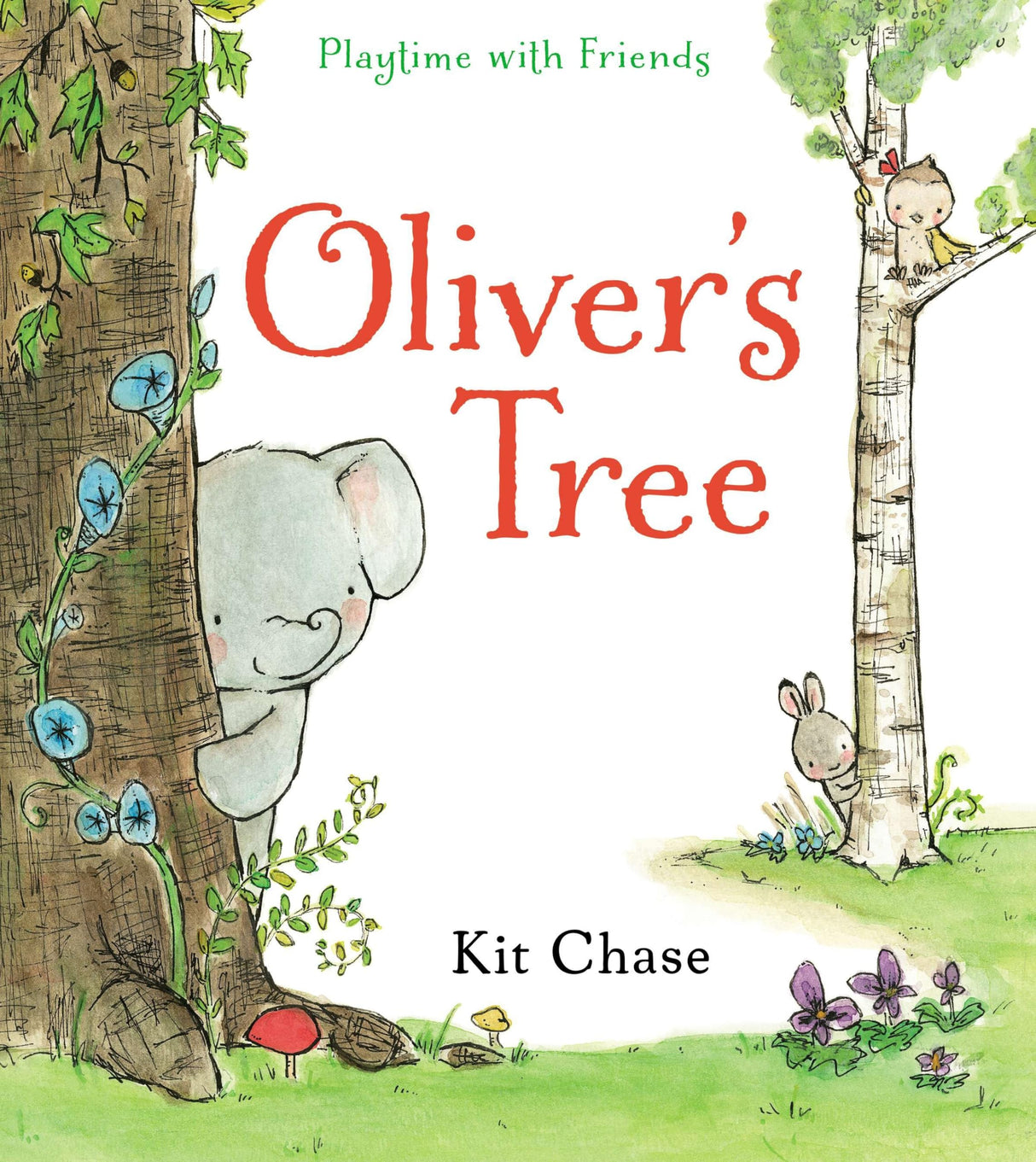 Oliver's Tree - Retail Maharaj