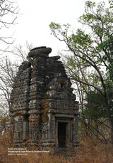 Hidden Treasures : India's Heritage in Tiger Reserves Vol. 1 - Retail Maharaj