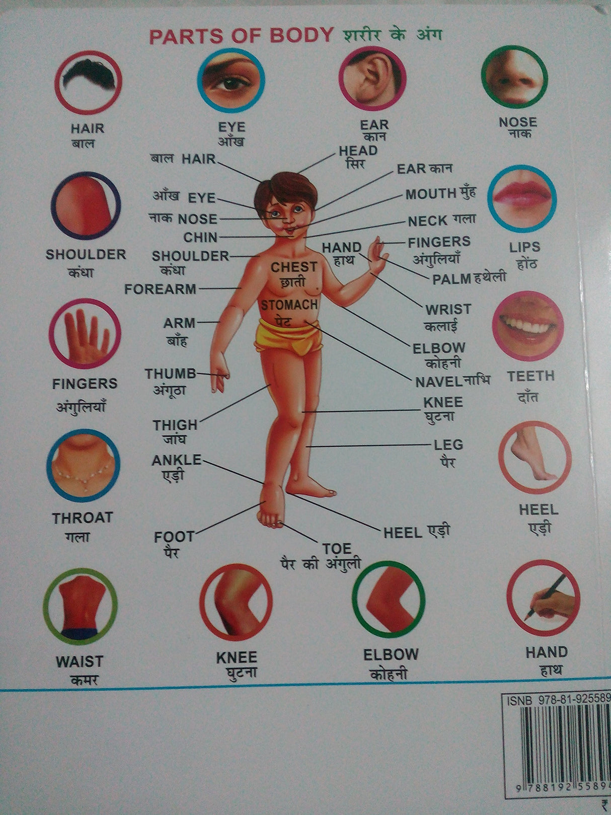 MY FIRST BOARD BOOK ALL IN ONE - Retail Maharaj