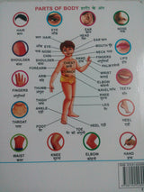 MY FIRST BOARD BOOK ALL IN ONE - Retail Maharaj