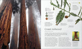 The Tree Book: The Stories, Science, and History of Trees - Retail Maharaj