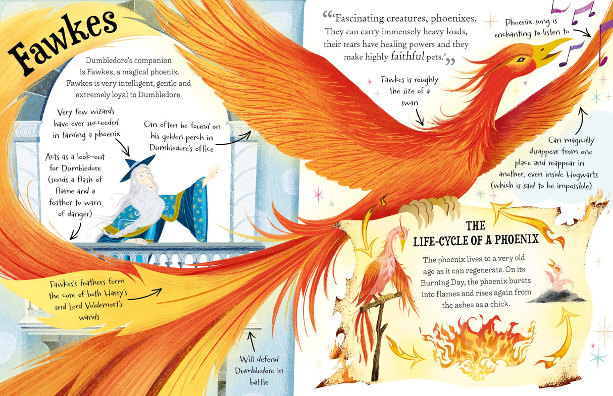 Professor Dumbledore (Pocket Potters – Little Guides to the HARRY POTTER Stories) - Retail Maharaj