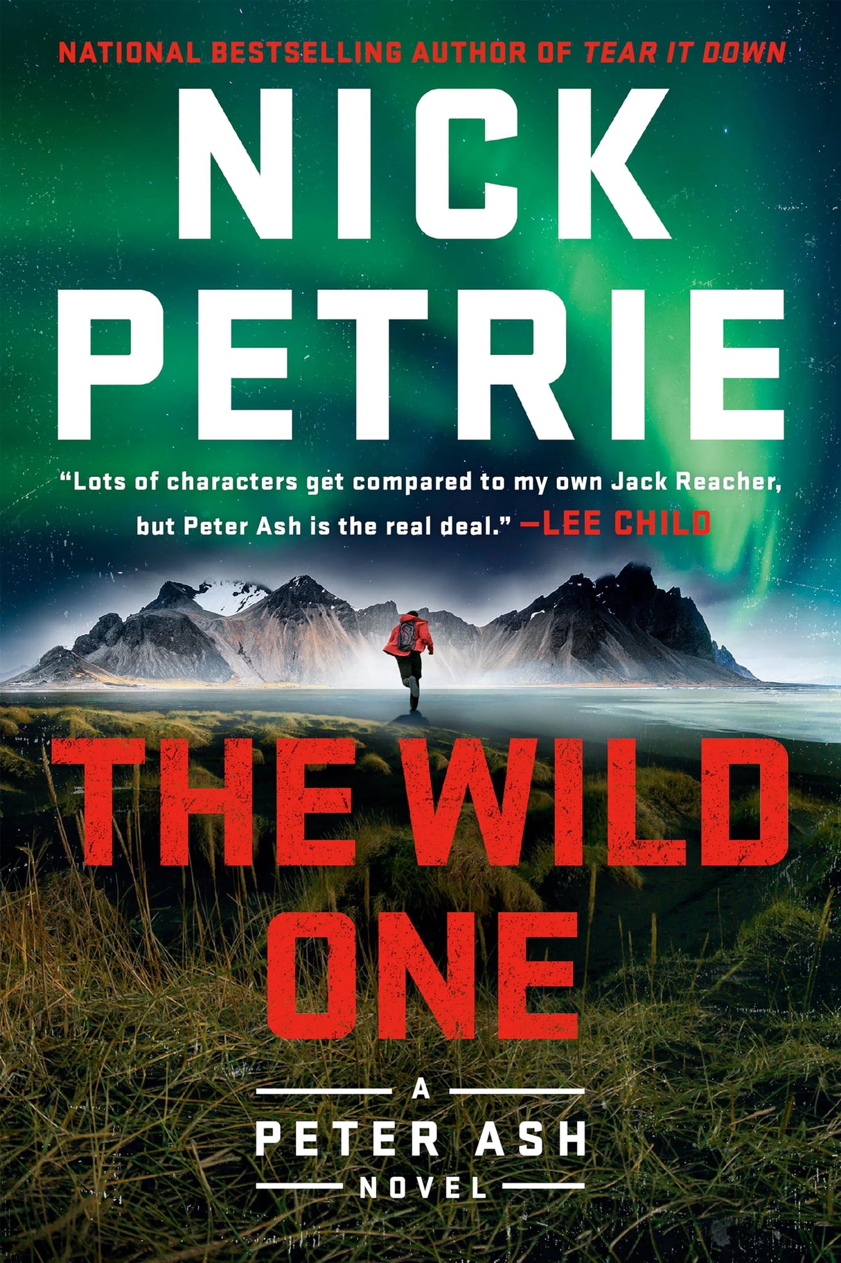 The Wild One: 5 (A Peter Ash Novel) - Retail Maharaj