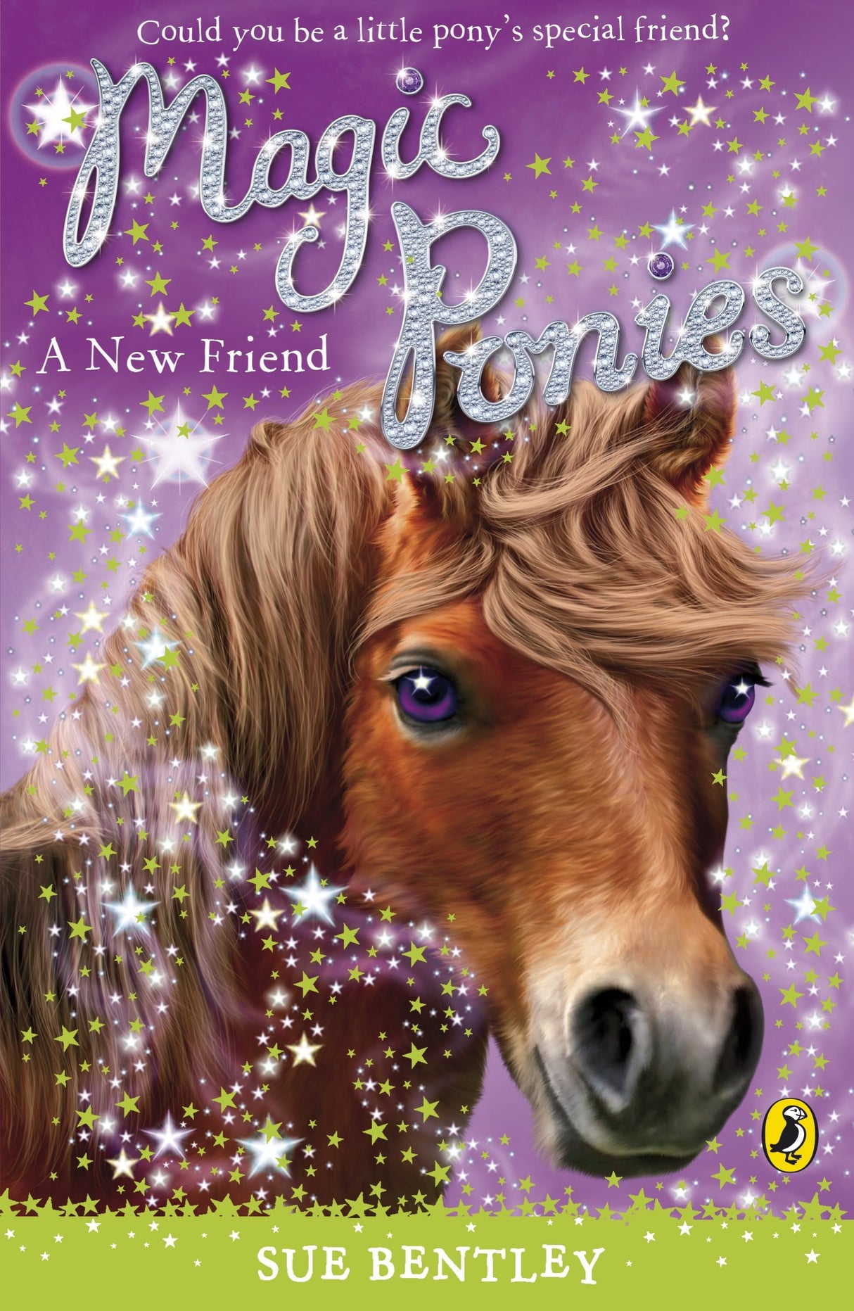 Magic Ponies: A New Friend: 1 - Retail Maharaj