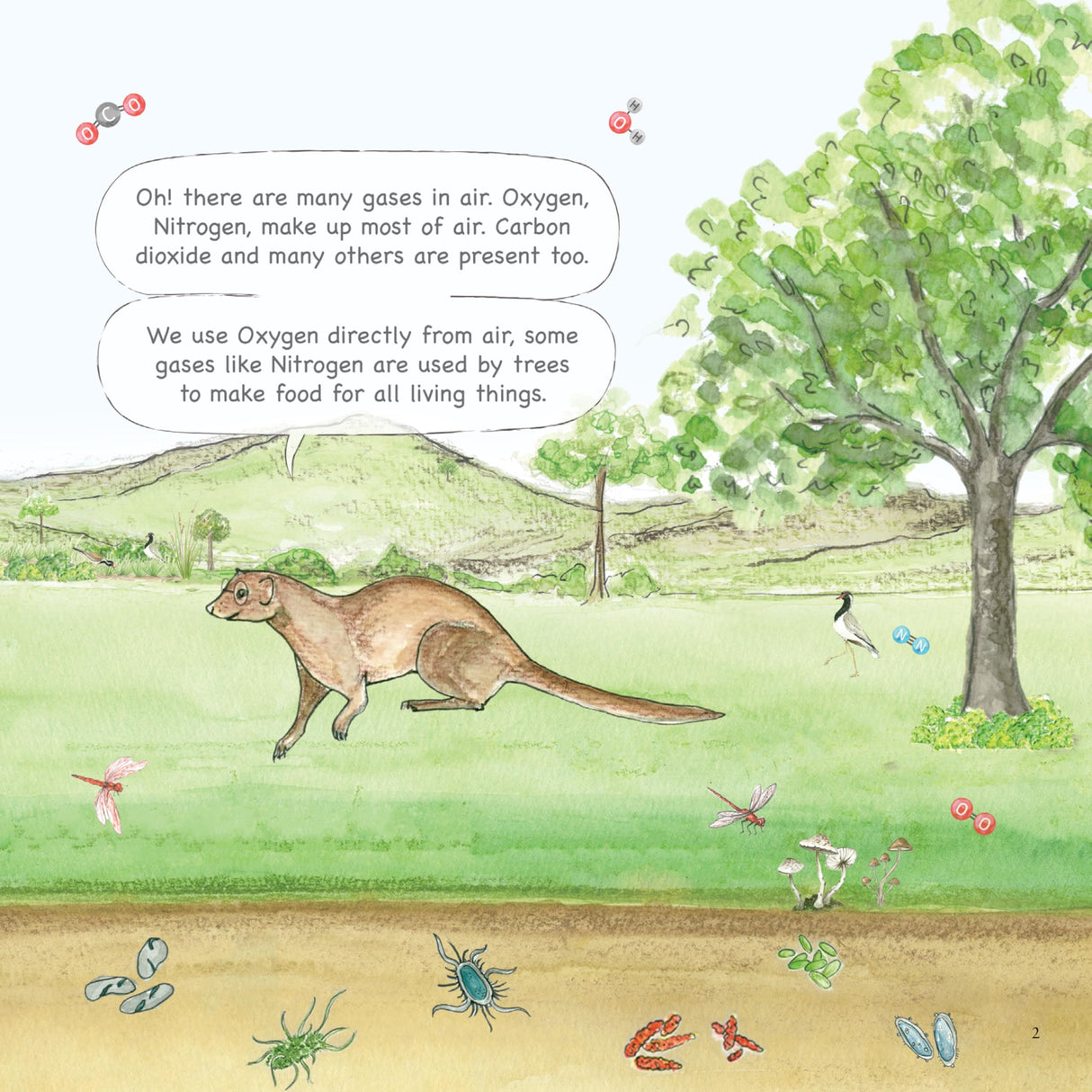 Why is Nitrogen Needed? - A Larks and Fables Story - Retail Maharaj