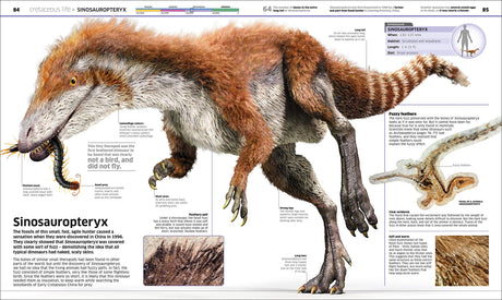 Knowledge Encyclopedia Dinosaur! Our Prehistoric World As You've Never Seen Before - Retail Maharaj