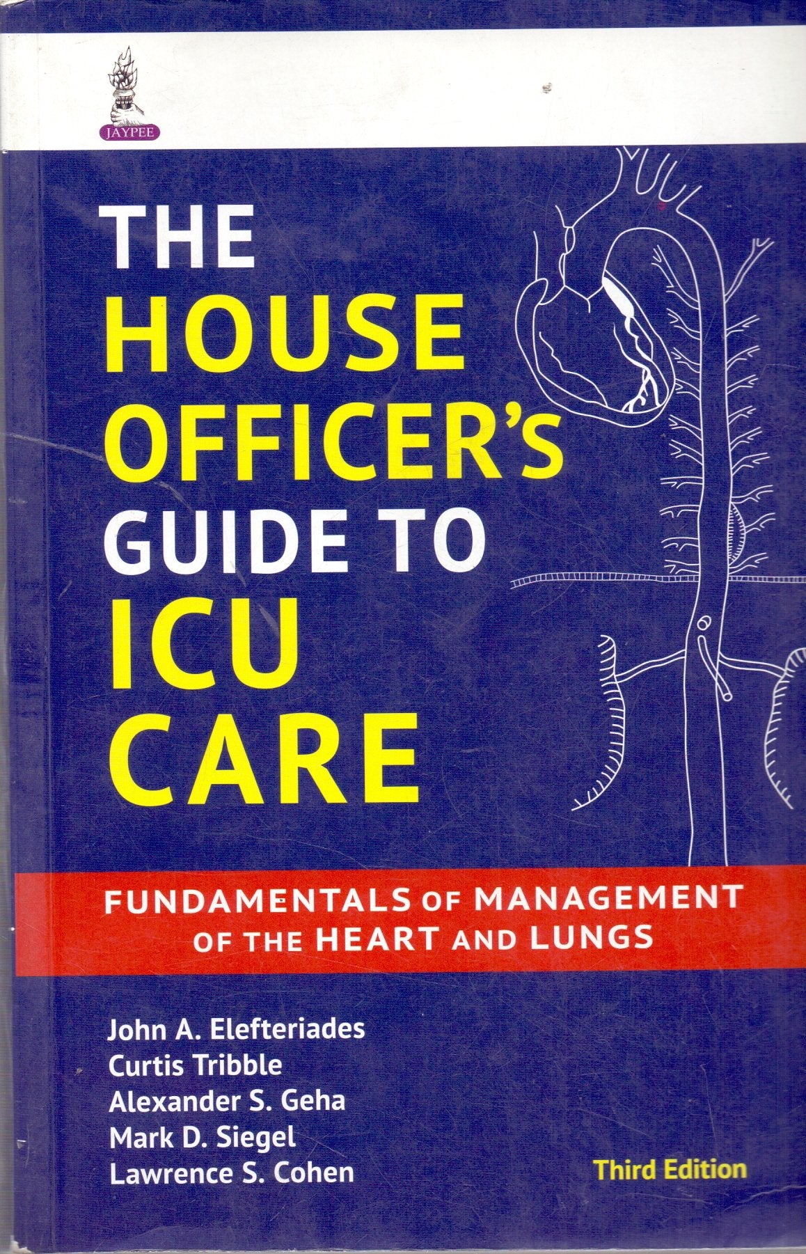 THE HOUSE OFFICER'S GUIDE TO ICU CARE FUNDAMENTALS OF MANAGEMENT OF THE HEART AND LUNGS - Retail Maharaj
