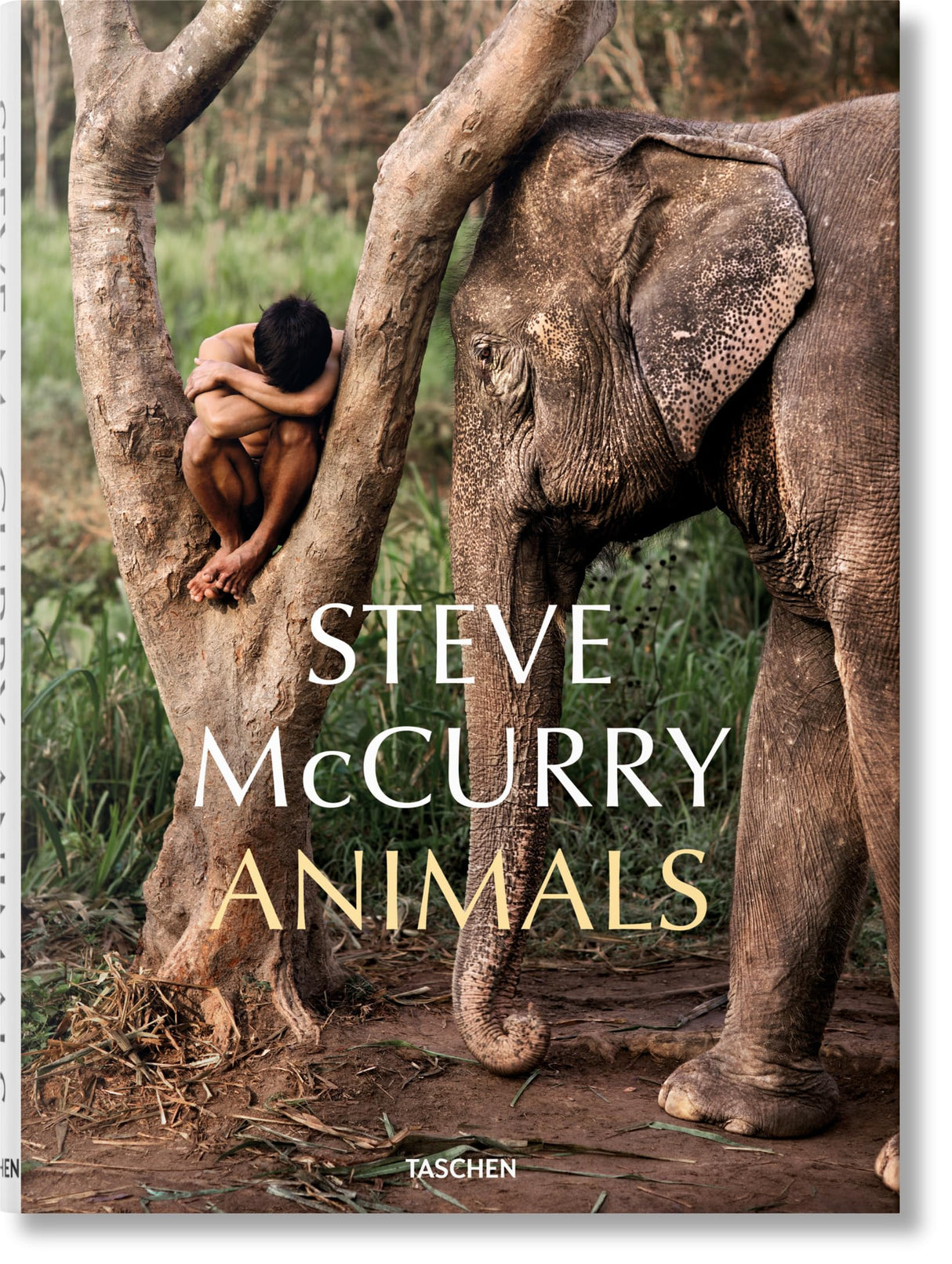 Steve McCurry. Animals - Retail Maharaj
