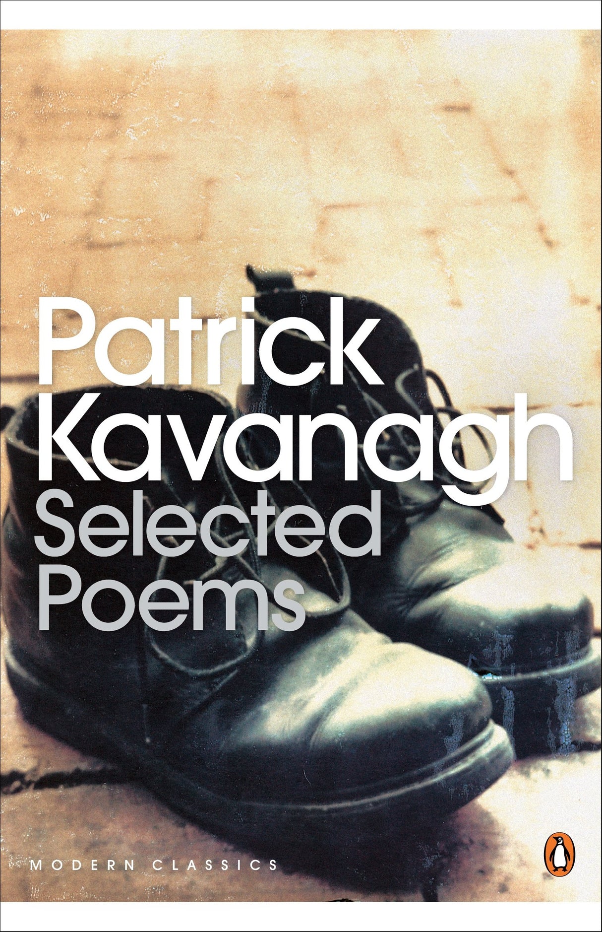 Selected Poems (Penguin Modern Classics) - Retail Maharaj