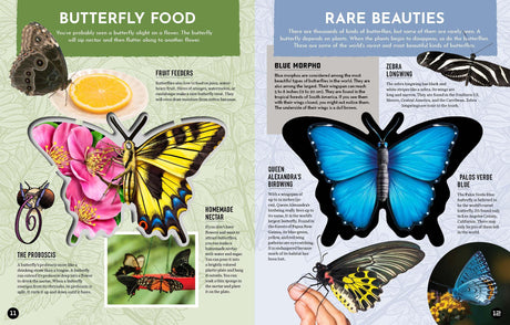 Inside Out Butterfly: Discover Nature'S Most Amazing Transfo - Retail Maharaj