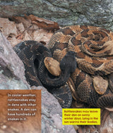 Learn About: Animal Homes: Dens - Retail Maharaj