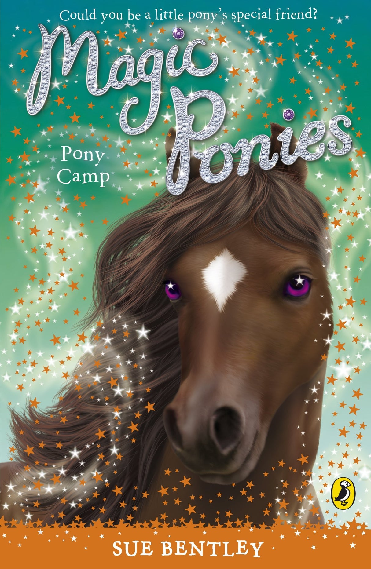 Magic Ponies: Pony Camp - Retail Maharaj