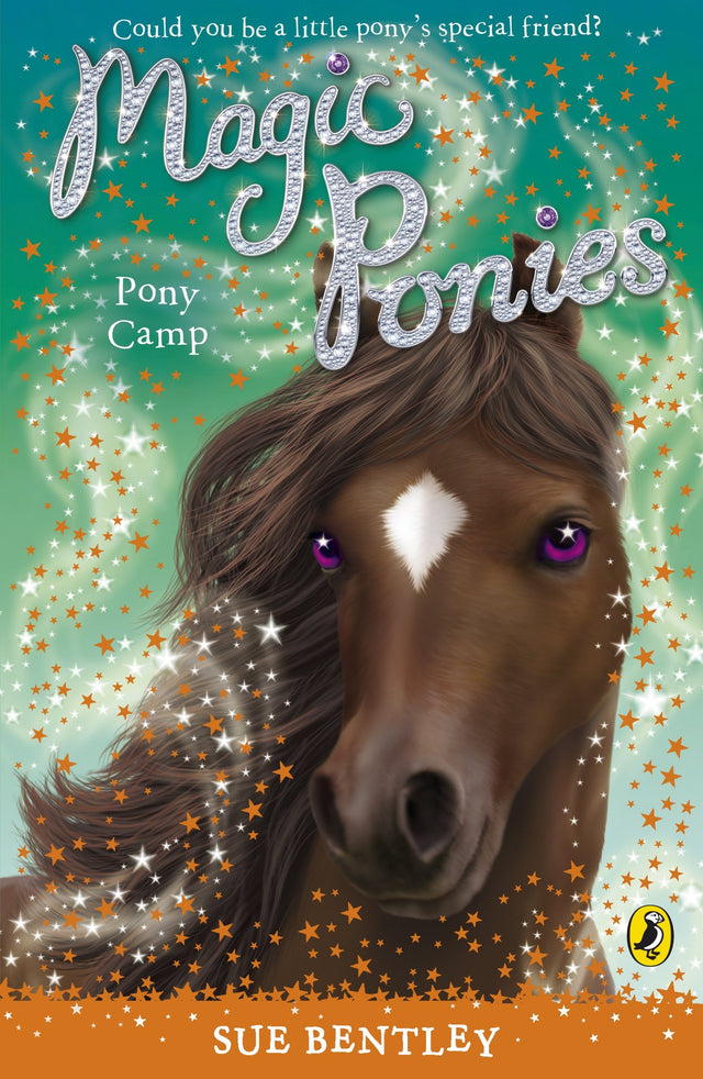 Magic Ponies: Pony Camp - Retail Maharaj