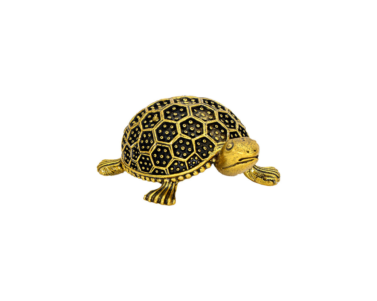 Tortoise 1" Brass - Retail Maharaj