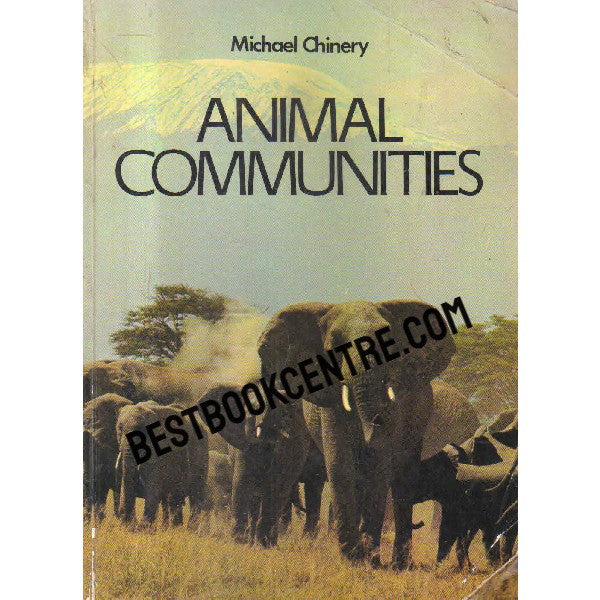 animal communities - Retail Maharaj
