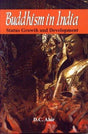 Buddhism in India: Status, growth and development - Retail Maharaj