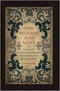 One religion too many: the religiously comparative reflections of a comparatively religious Hindu - Retail Maharaj