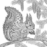 Mandala Colouring Book for Adults- Animal Kingdom - Retail Maharaj