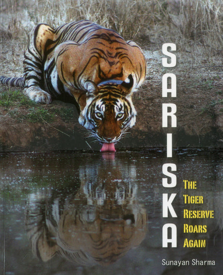 Sariska: The Tiger Reserve Roars Again - Retail Maharaj