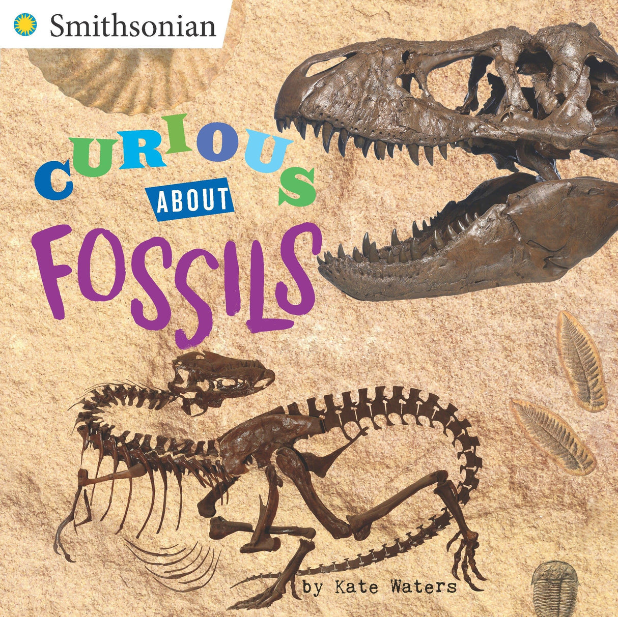 Curious About Fossils - Retail Maharaj