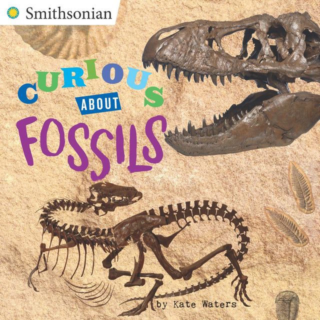 Curious About Fossils - Retail Maharaj