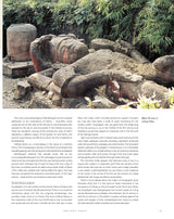 Forts and Palaces of India - Retail Maharaj
