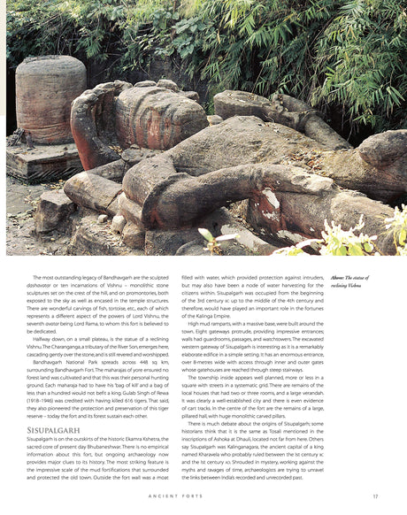 Forts and Palaces of India - Retail Maharaj