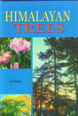 Himalayan Trees - Retail Maharaj