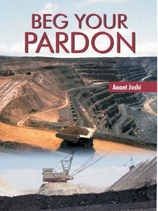 Beg your pardon - Retail Maharaj
