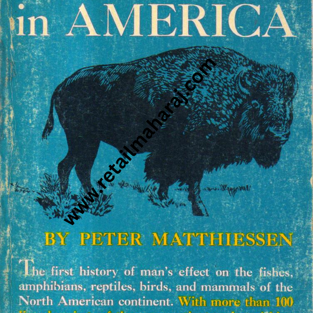 Wildlife in America. - Retail Maharaj