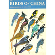 the birds of china - Retail Maharaj