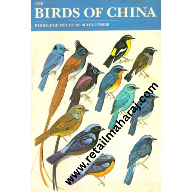 the birds of china - Retail Maharaj