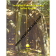 Sacred and Protected Groves of Andhra Pardesh - Retail Maharaj