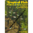 tropical fish freshwater and marine aquarin - Retail Maharaj
